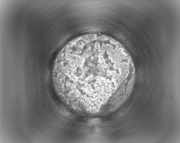 X0000065970355200603241919