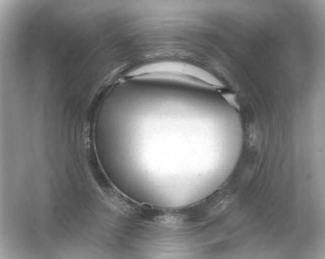 X0000065970356200603241919