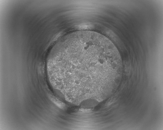 X0000065970357200603241919