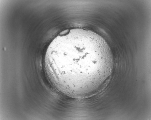 X0000065970358200603241919