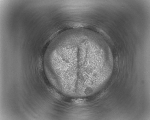 X0000065970359200603241919