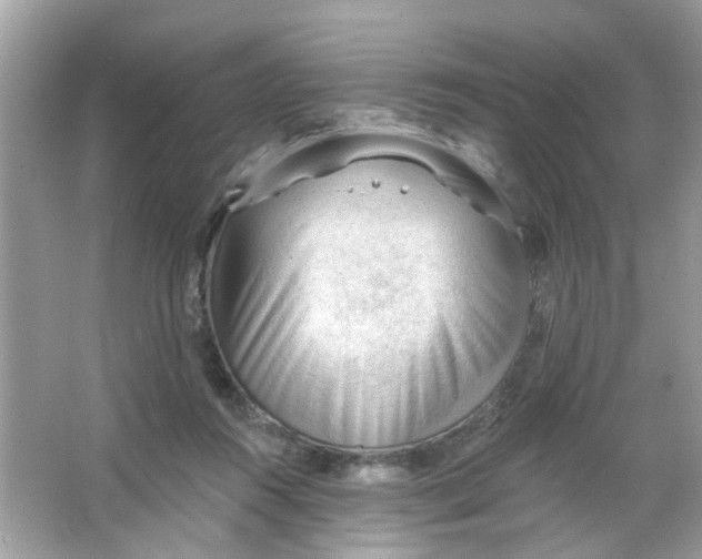 X0000065970360200603241919