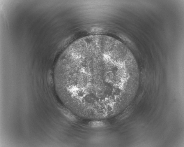 X0000065970361200603241919