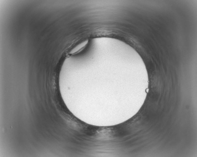 X0000065970362200603241919