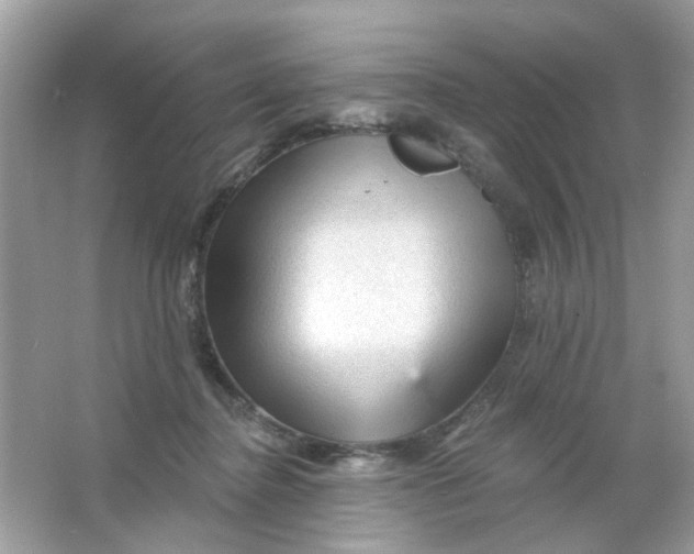 X0000065970364200603241919