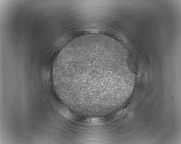 X0000065970365200603241919