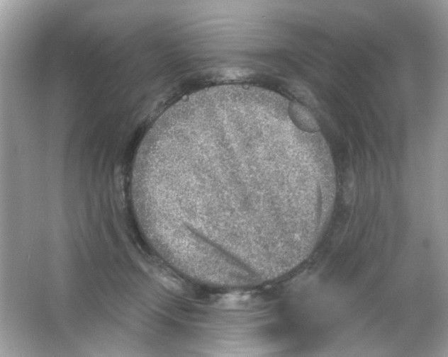 X0000065970366200603241919