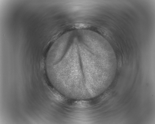 X0000065970367200603241919