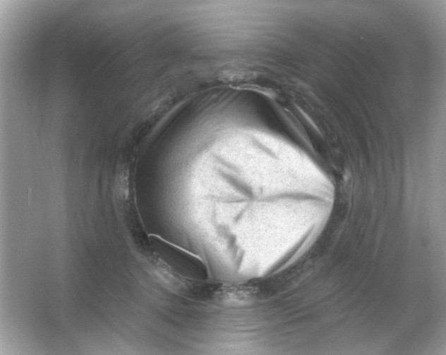 X0000065970368200603241919