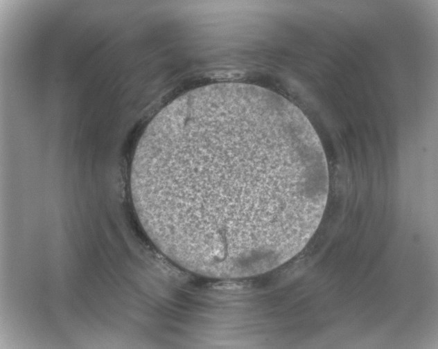 X0000065970370200603241919