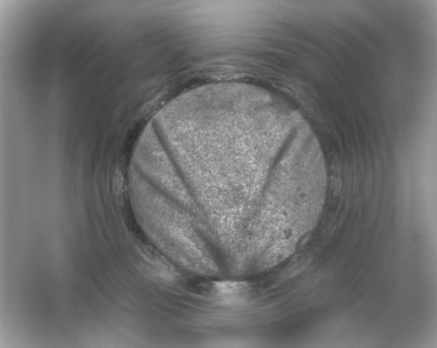 X0000065970371200603241919