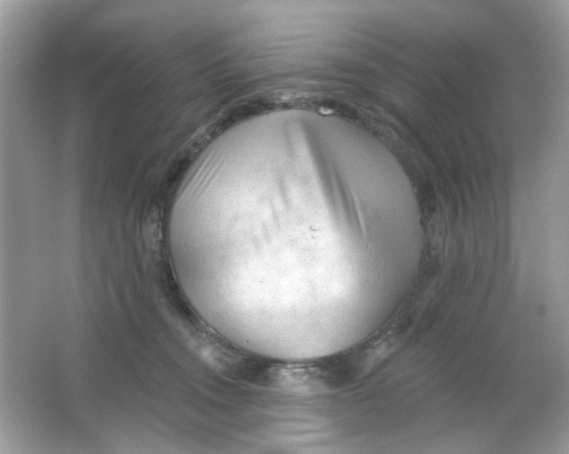 X0000065970372200603241919