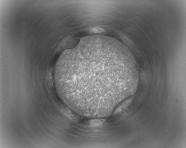 X0000065970373200603241919