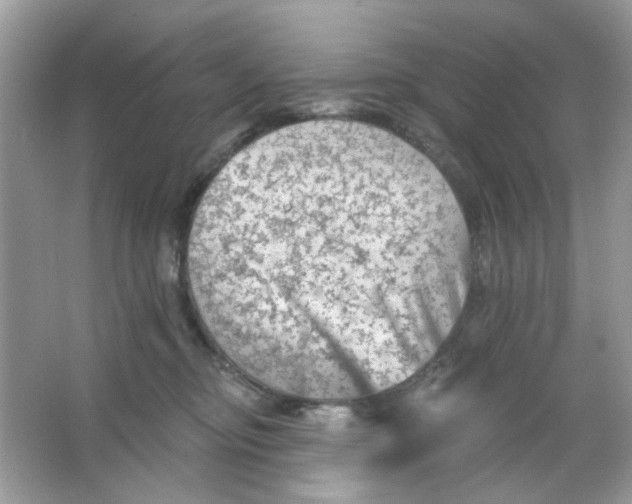 X0000065970374200603241919