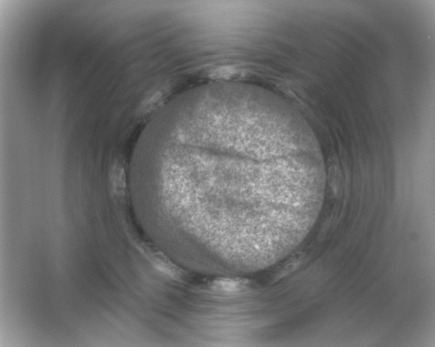 X0000065970375200603241919