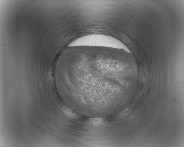 X0000065970377200603241919