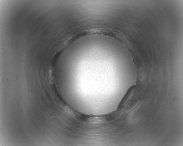 X0000065970378200603241919