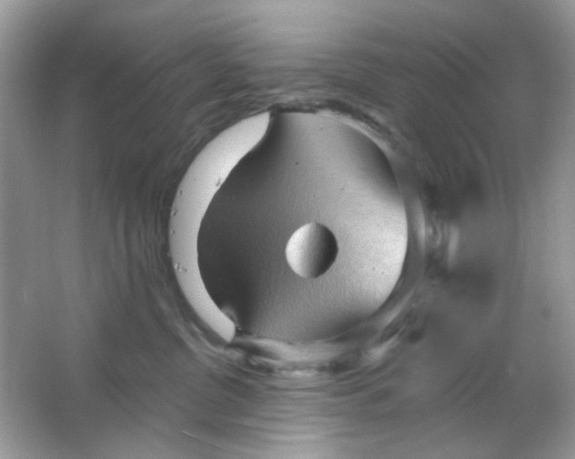 X0000065970380200603241919