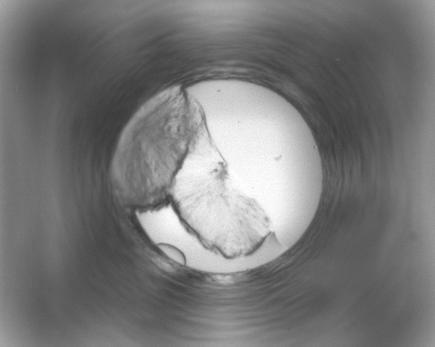 X0000065970381200603241919