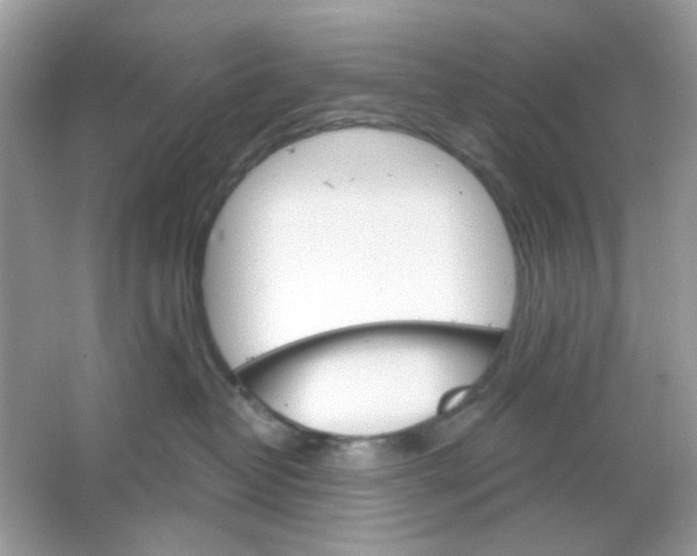 X0000065970382200603241919