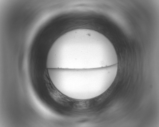 X0000065970383200603241920