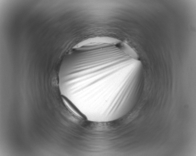 X0000065970384200603241920