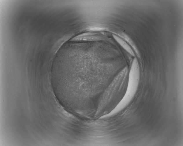 X0000065970385200603241919