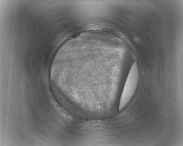 X0000065970386200603241919