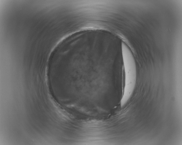 X0000065970387200603241919