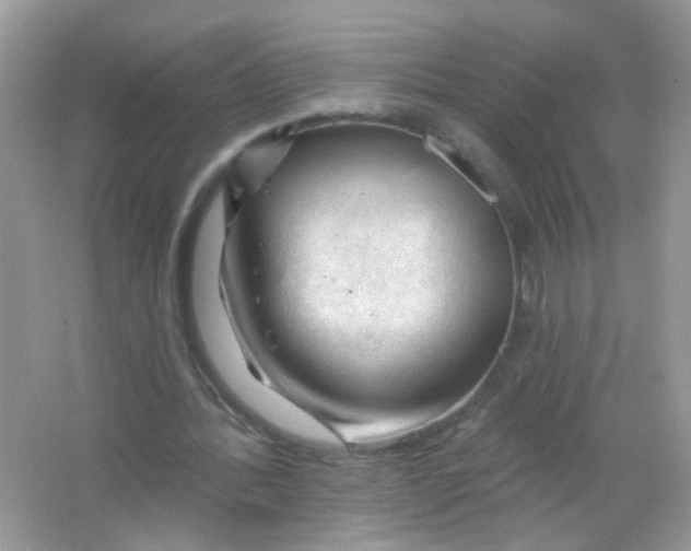 X0000065970388200603241919