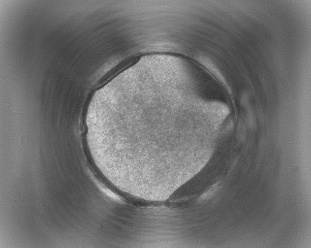 X0000065970389200603241919