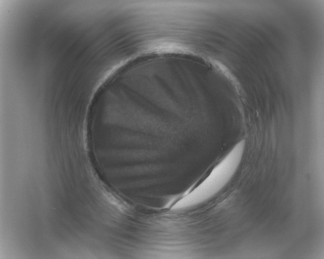 X0000065970391200603241919