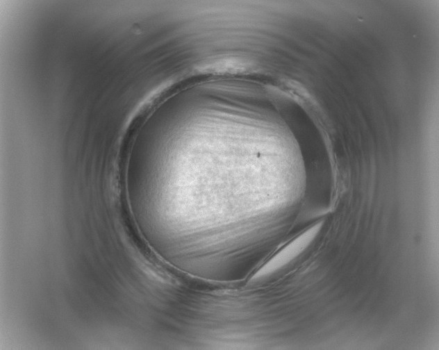 X0000065970392200603241919