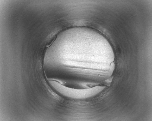 X0000065970393200603241919