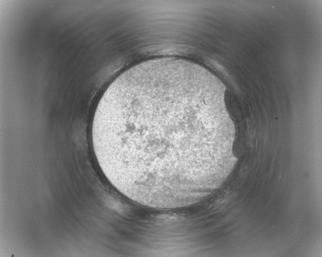 X0000065970394200603241919