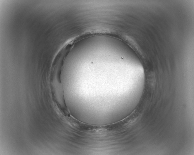 X0000065970395200603241919