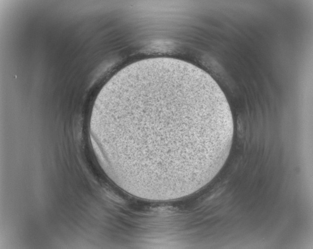 X0000065970396200603241919