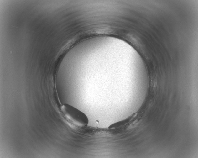 X0000065970397200603241919