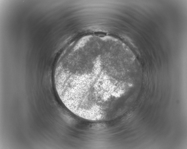 X0000065970398200603241918