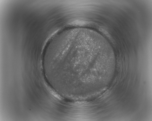 X0000065970399200603241918