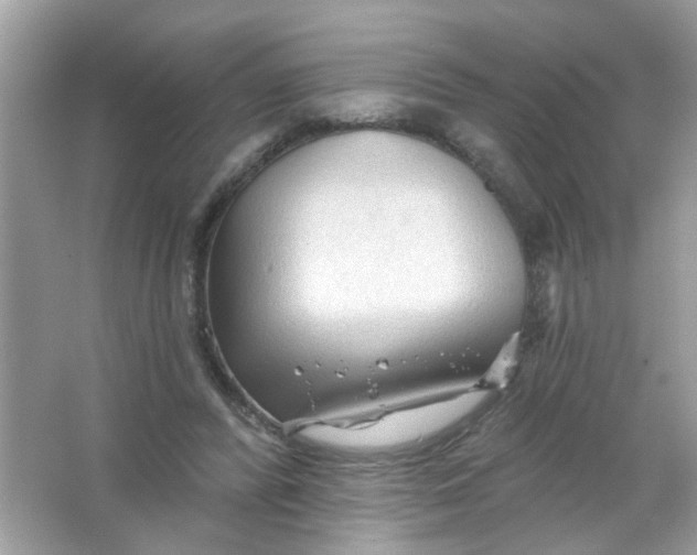 X0000065970400200603241918