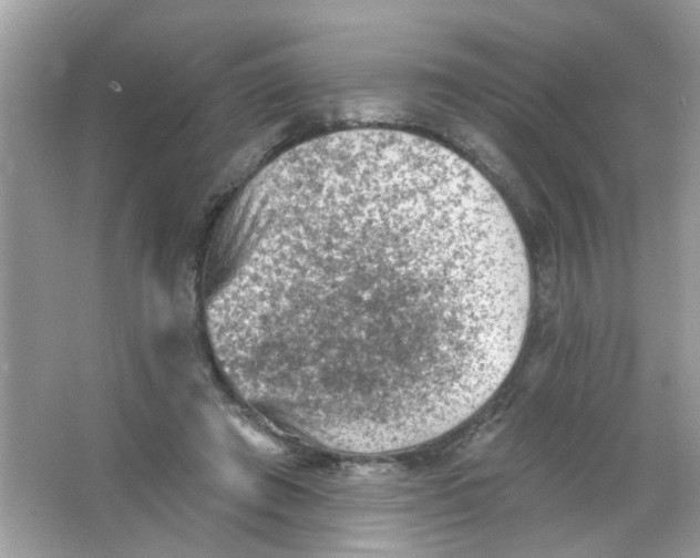 X0000065970401200603241918