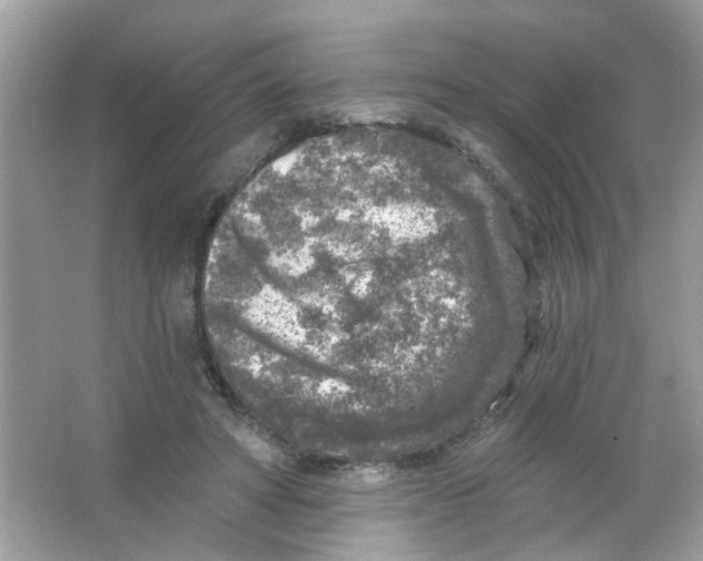 X0000065970402200603241918