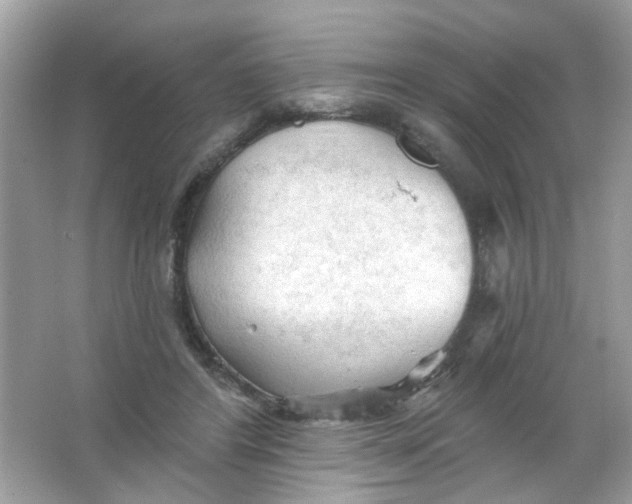 X0000065970404200603241918