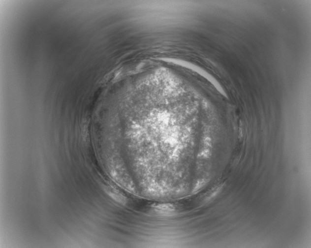 X0000065970409200603241918