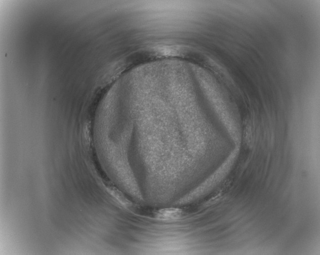 X0000065970410200603241918