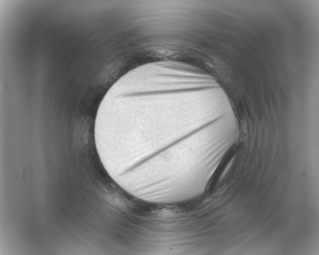 X0000065970412200603241918