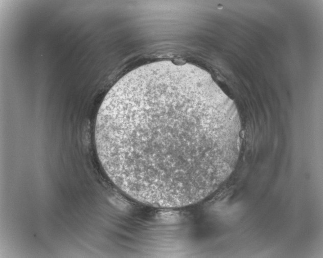 X0000065970413200603241918