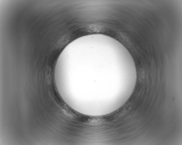 X0000065970414200603241918