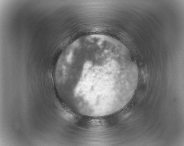 X0000065970415200603241918